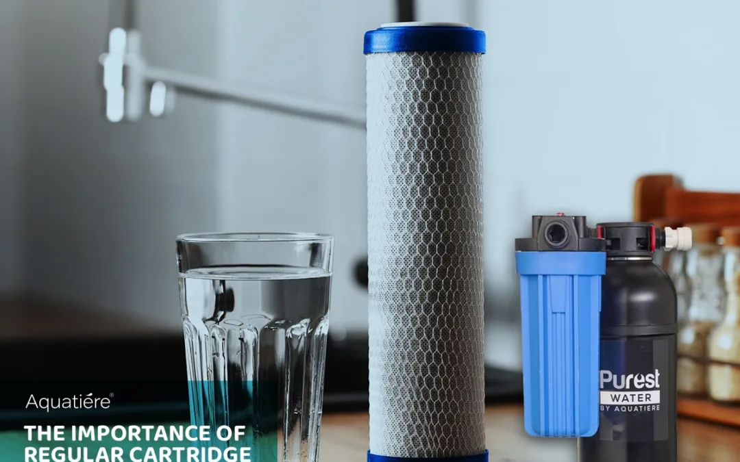 The Unsung Hero of Your Home: Why Regular Water Filter Cartridge Replacement is Crucial