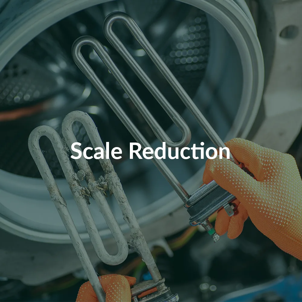 Scale Reduction