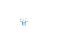 No Scale Logo